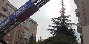 Asansörlü taşıma, yüksek katlı binalarda zaman kazandırır ve eşya güvenliğini artırır.